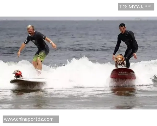 深圳飞盘队在马拉松大满贯中的比赛经验与表现分析 深圳飞盘队在马拉松大满贯中的比赛经验与表现分析